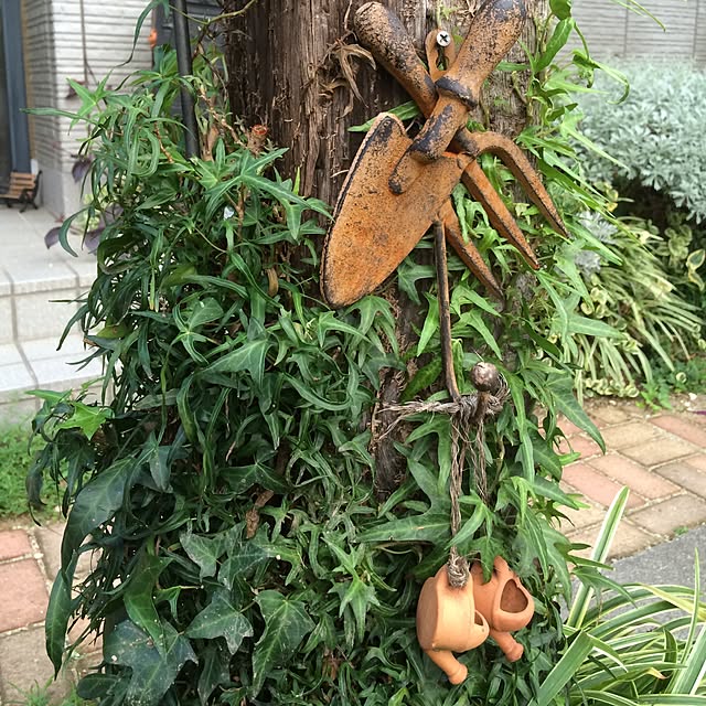 amiさんの実例写真