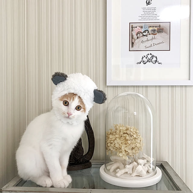 yuchiさんの実例写真