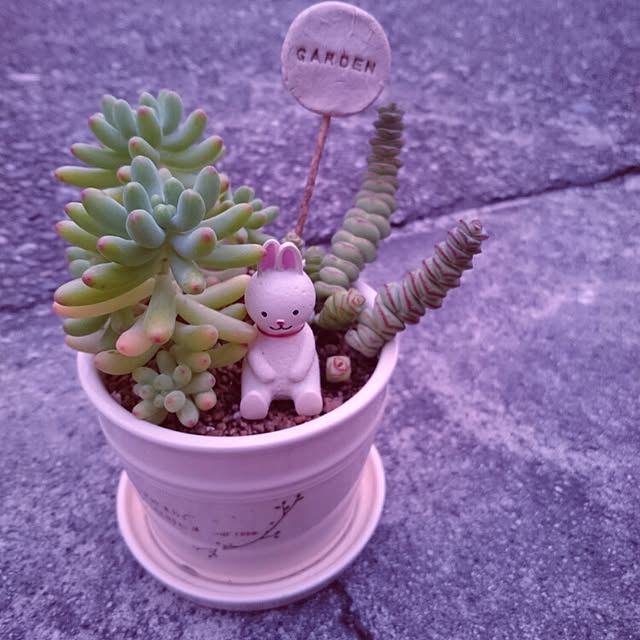 chocoraisinさんの実例写真