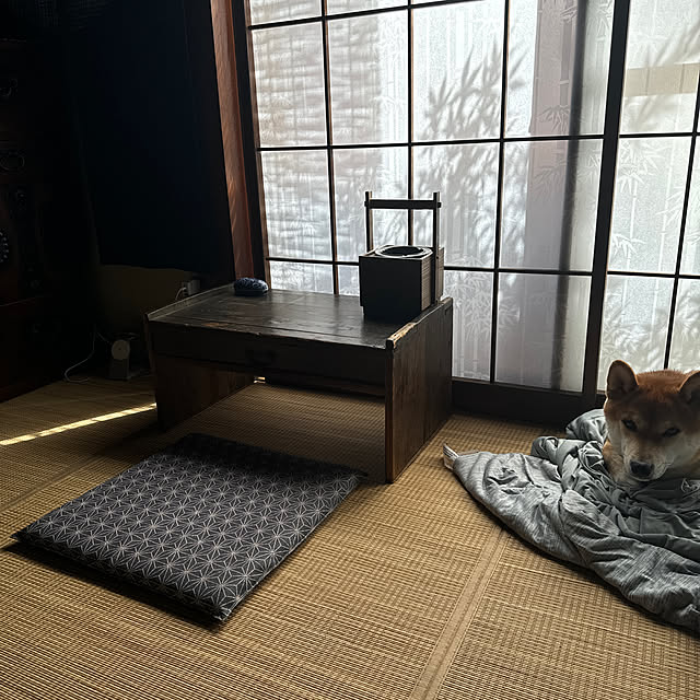 masato.mikiさんの実例写真