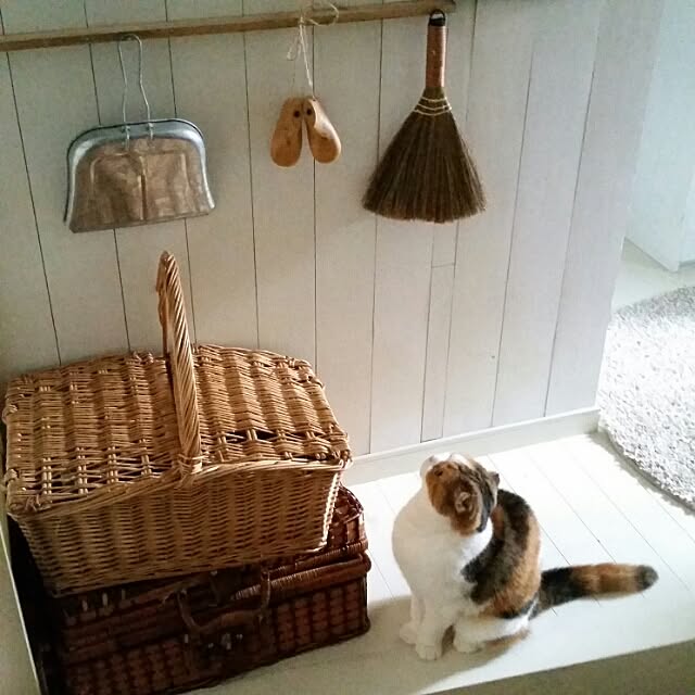 mikiさんの実例写真