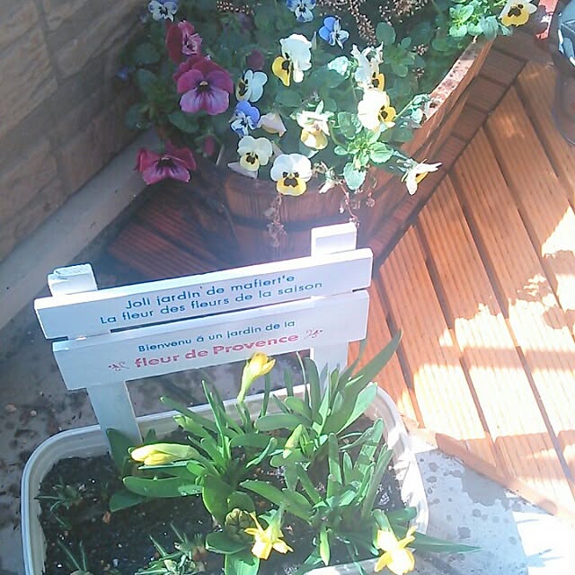 springさんの部屋