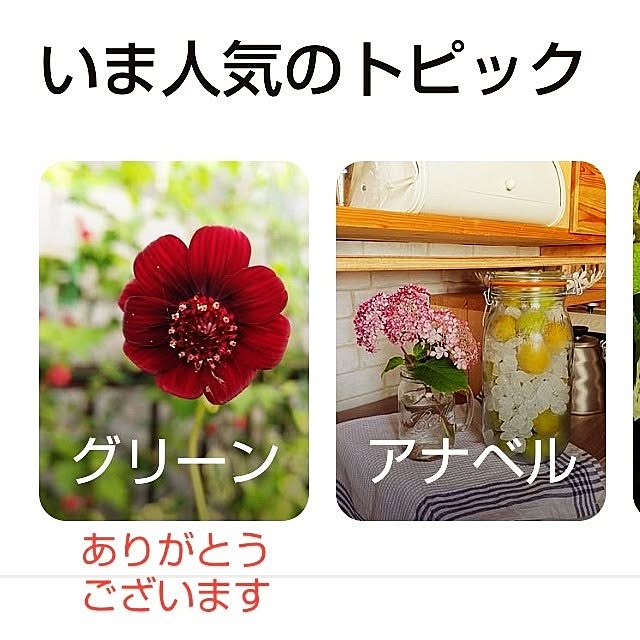 katさんの部屋