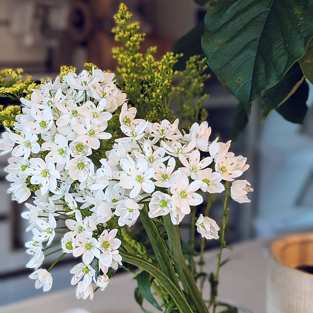 kumijiさんの実例写真