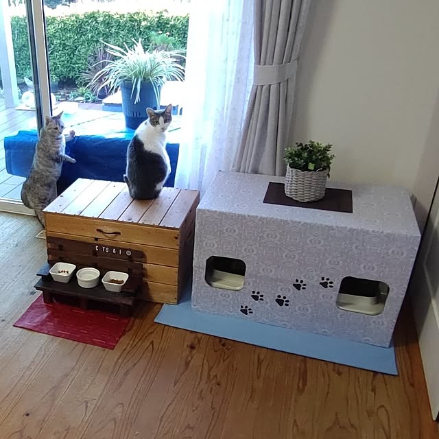 38catさんの実例写真