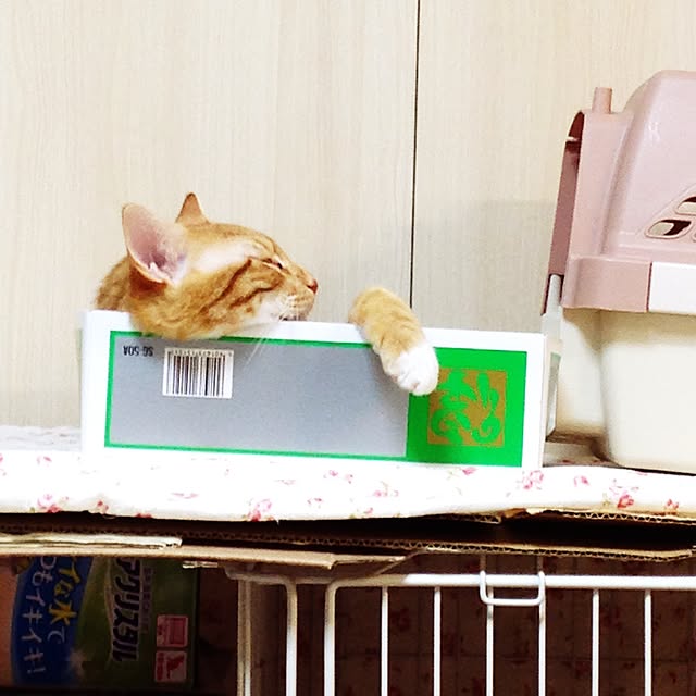 maki-buuさんの実例写真