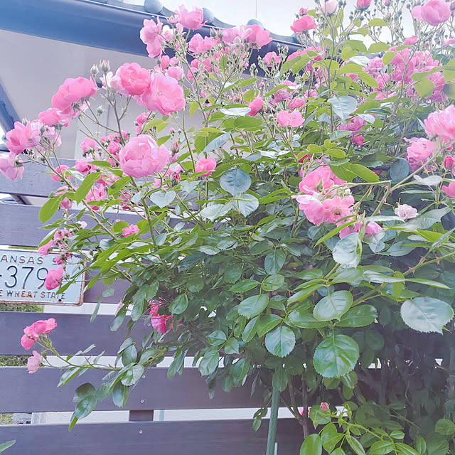 mmmさんの実例写真