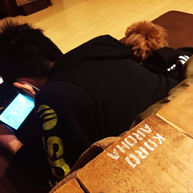 実例写真