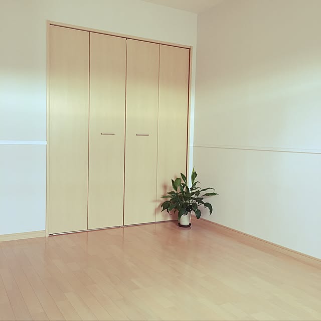 Koさんの実例写真