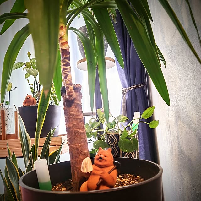 ponchanさんの部屋
