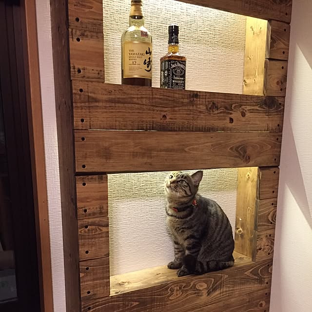 yutchiさんの実例写真