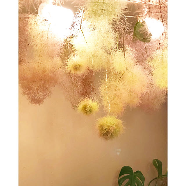 naho81078さんの実例写真