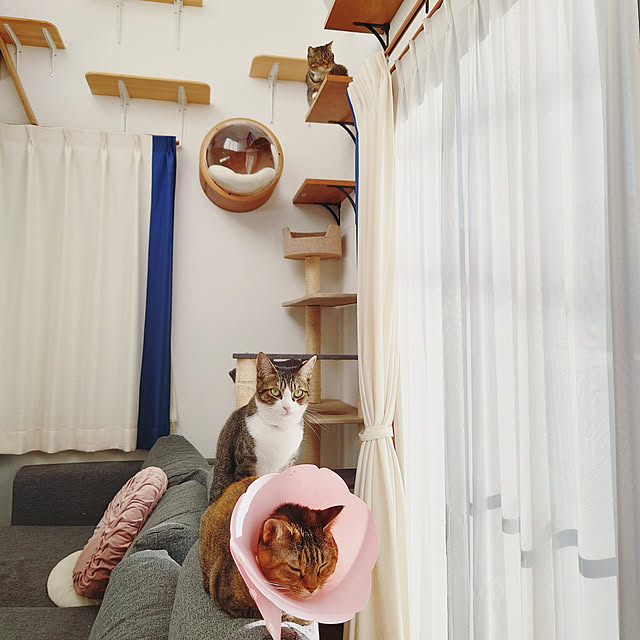mochicoさんの実例写真