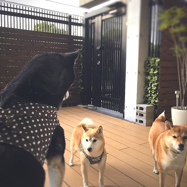 canal108yyさんの実例写真