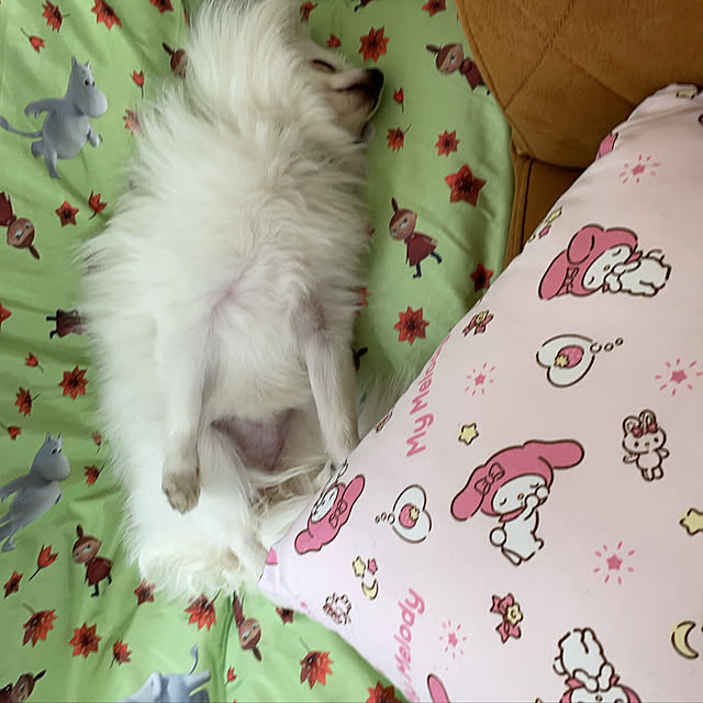 yukitamaさんの実例写真