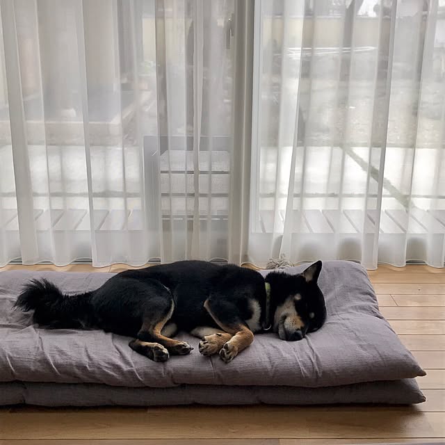MeikoSakamotoさんの実例写真
