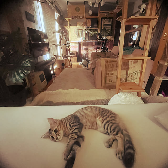Mさんの部屋