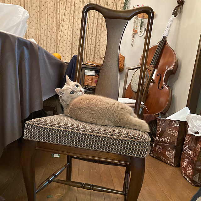 kurumiさんの実例写真