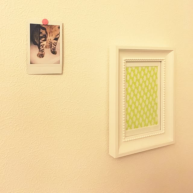 coroさんの実例写真