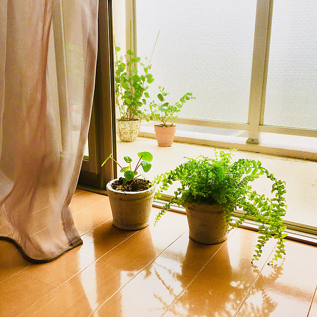 roxane226さんの実例写真