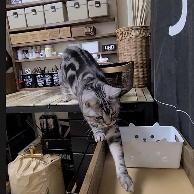 lovepeaceさんの部屋