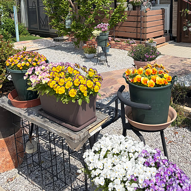 ronronさんの部屋