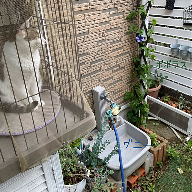 Lufuさんの実例写真