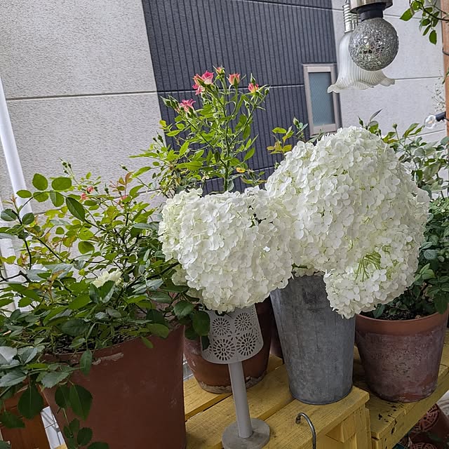kazuさんの部屋