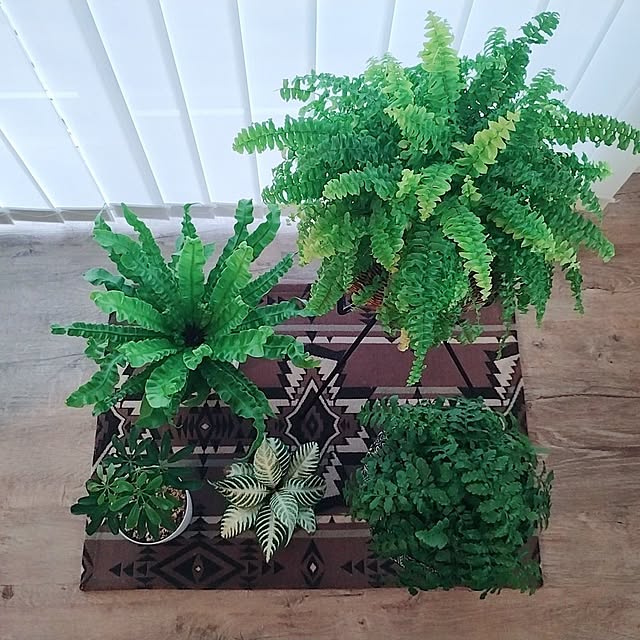 .endさんの実例写真