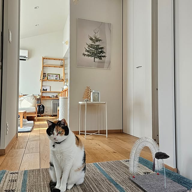 koyurizuさんの部屋