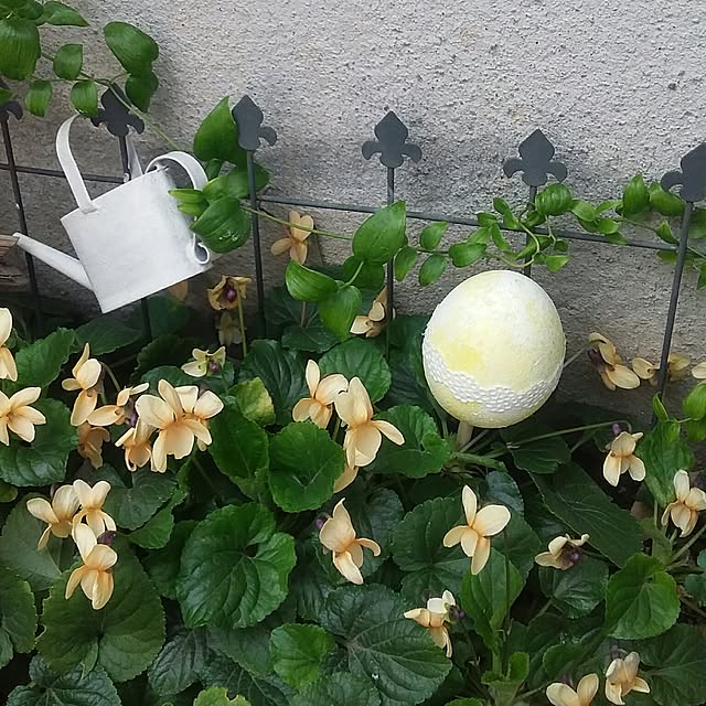 yukkoさんの実例写真