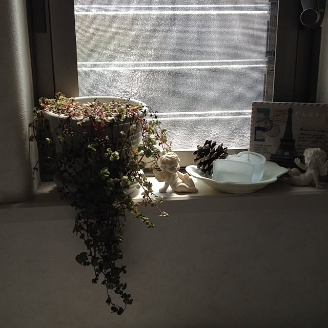 バス/トイレ/セリア/植物/アンティークのインテリア実例 - 2014-04-15 11:11:11