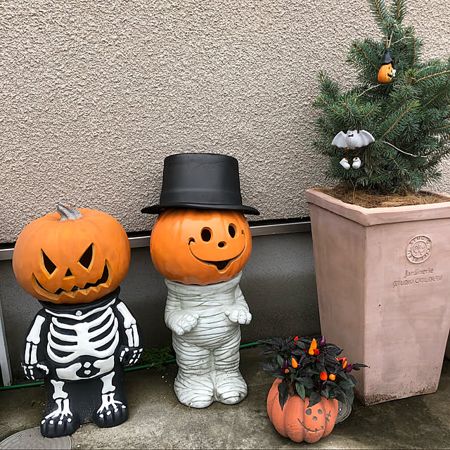 yunさんの実例写真