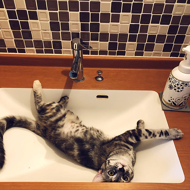 kittchanさんの実例写真