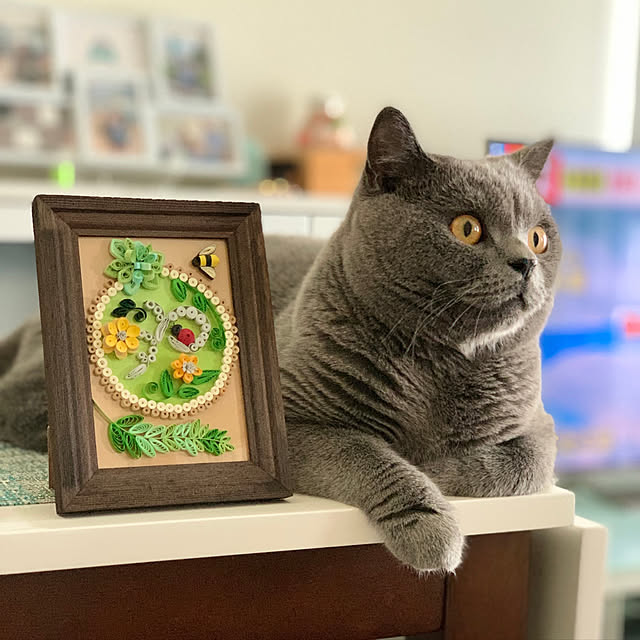 kittyさんの実例写真