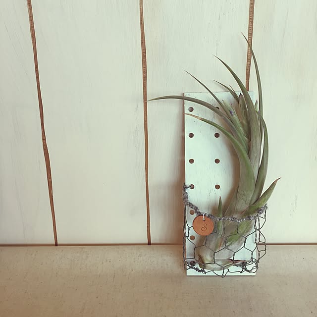 shokoさんの実例写真