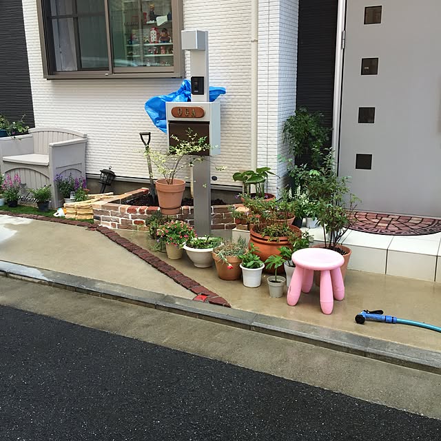 suzyさんの実例写真