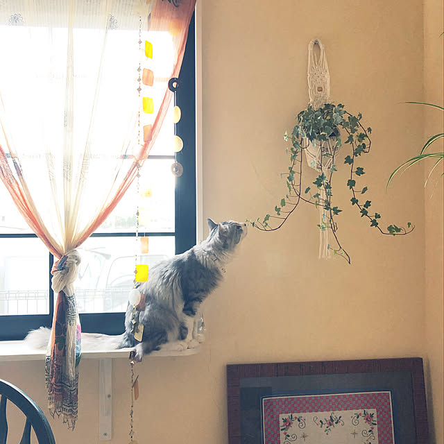 syungikuさんの実例写真