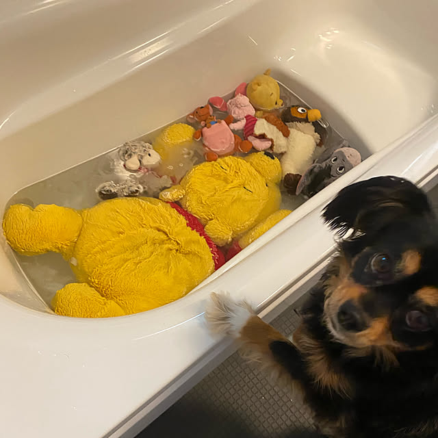 hashikaさんの実例写真