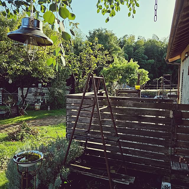 satomiさんの部屋