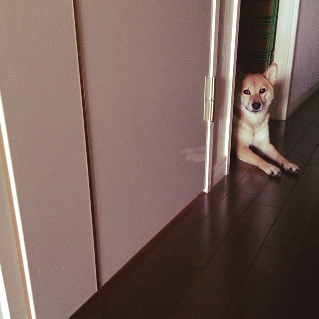 umeさんの実例写真