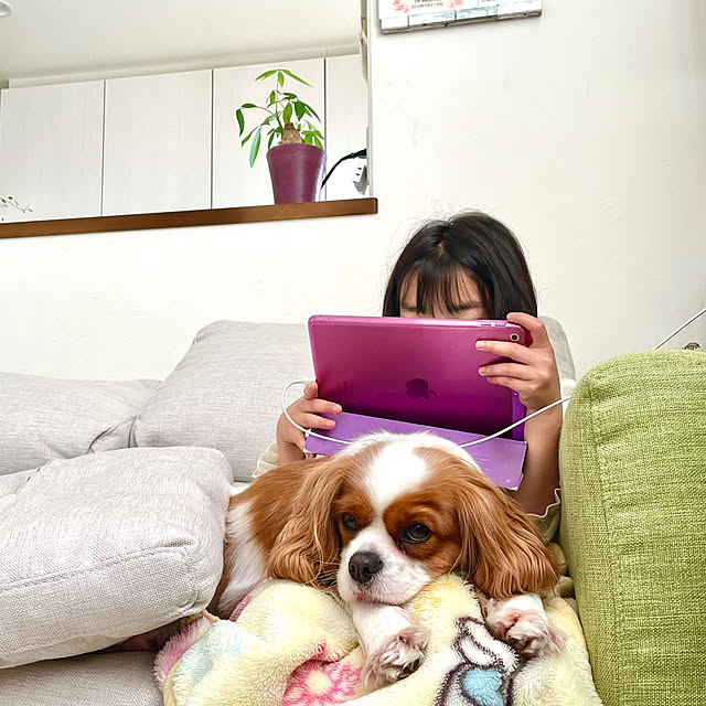k.k.kinokoさんの実例写真