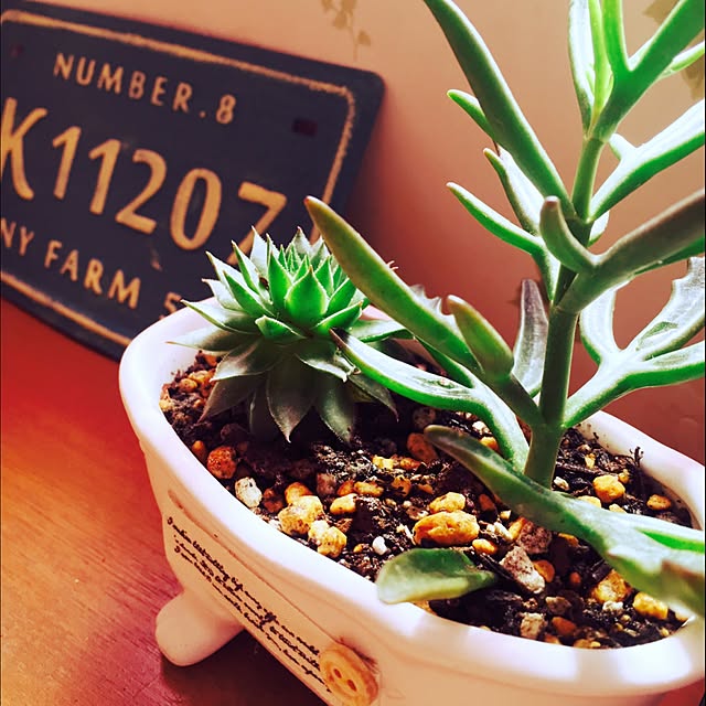 kazzy44hpさんの部屋