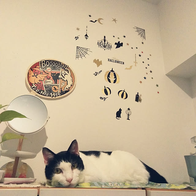 futukoさんの実例写真