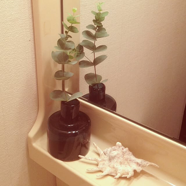 grizzly10さんの実例写真