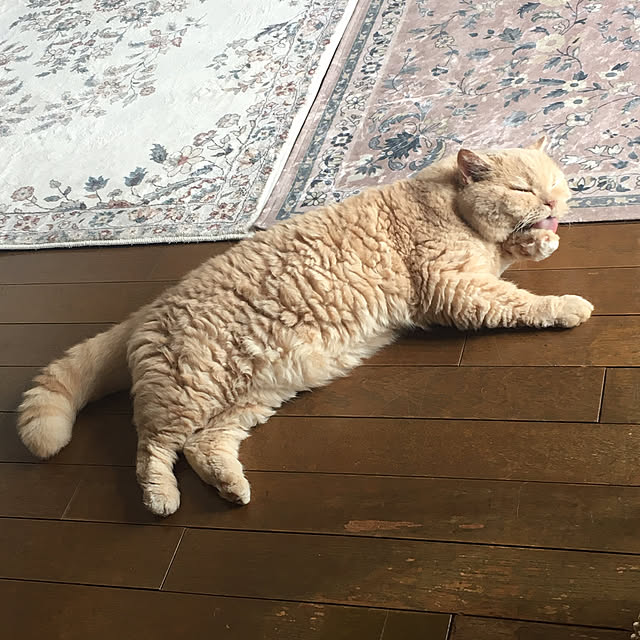 naokoさんの部屋