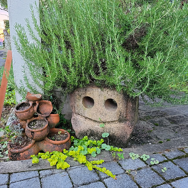 reireiさんの実例写真