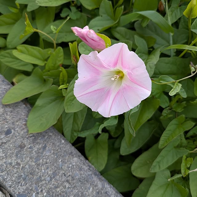 minnieさんの部屋