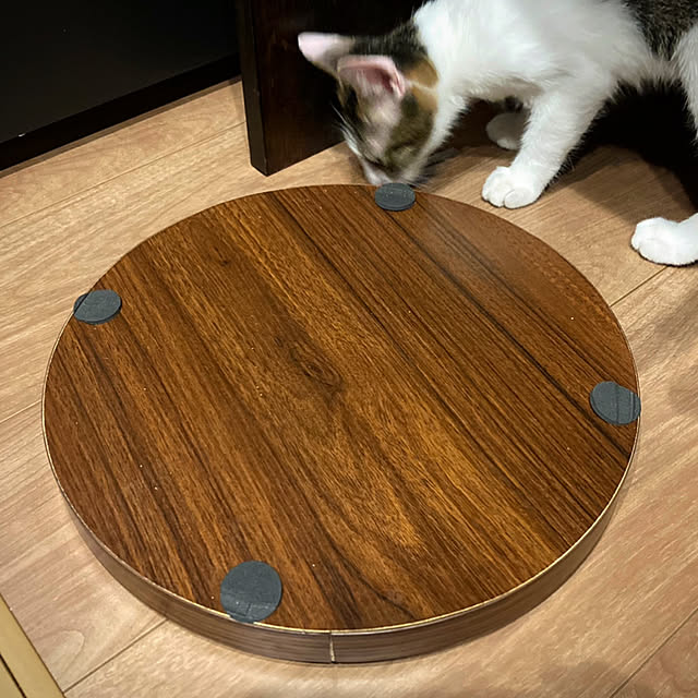 Hachiさんの部屋