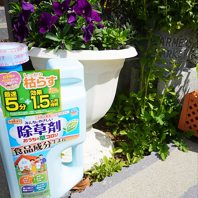 moochan2020さんの実例写真